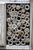 Abeille solitaire sur une boîte à insectes de jardin faite de cannes creuses