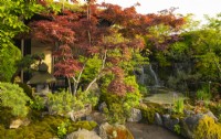 Arbres Acer autour d'une petite maison et d'une cascade dans le jardin biophilique Otsu - Hannare conçu par Kazuyuki Ishihara, un jardin sanctuaire au RHS Chelsea Flower Show 2023