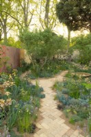 Pinus sylvestris dominant un chemin de briques en diagonale à travers les plantations du Nurture Landscapes Garden, un jardin d'exposition conçu par Sarah Price au RHS Chelsea Flower Show 2023