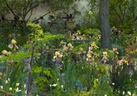 Bearded Benton Irises in the Nurture Landscapes Garden, un jardin d'exposition conçu par Sarah Price au RHS Chelsea Flower Show 2023