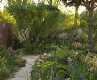 Benton Irises in the Nurture Landscapes Garden, un jardin d'exposition conçu par Sarah Price au RHS Chelsea Flower Show 2023