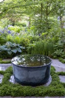 Une piscine d'eau galvanisée placée sur des briques étroites avec Hydrocotyle tripartita sp. 'Japon' poussant entre les pavés. Myeloma UK - A Life Worth Living Garden, gagnant de l'or. Créateur : Chris Beardshaw