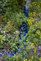 Fleurs sauvages dont : Valeriana officinalis, Ranunculus acris et Lychnis flos-cuculi poussant au bord de l'eau. Le jardin de la RSPCA, concepteur : Martyn Wilson.
