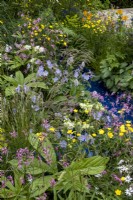 Jardin de fleurs sauvages avec : Bistorta officinalis, Lychnis flos-cuculi, Ranunculus acris et Geranium pratense. Le jardin de la RSPCA, concepteur : Martyn Wilson.