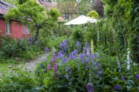 Chemin de brique à travers des parterres de fleurs denses dans le vieux jardin de cottage - Journée des jardins ouverts, Old Newton, Suffolk