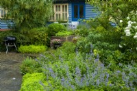 Parterre informel d'un assortiment de plantes vivaces, d'arbustes, d'arbres et de plantations en pot contre un patio et une maison peinte en bleu et crème - Journée des jardins ouverts, Waldringfield, Suffolk