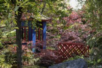 Le jardin japonais avec une réplique de salon de thé et des bassins avec des carpes koï. Entouré d'érables japonais. rhododendron et magnolia. Trago Mills montrent les jardins, Devon, Royaume-Uni. Peut. Printemps