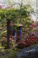 Le jardin japonais avec sa réplique de salon de thé et son pont. Entouré d'érables japonais. rhododendron et magnolia. Trago Mills montrent les jardins, Devon, Royaume-Uni. Peut. Printemps