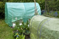 Tunnels en polyéthylène utilisés pour la protection des cultures contre les attaques de pigeons - Open Gardens Day, Coddenham, Suffolk