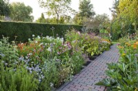 Chemin pavé à travers des plates-bandes doubles avec vivaces et annuelles - Echinacea purpurea, Zinnia, Persicaria orientalis, Allium senescens, Rudbeckia fulgida var. sullivantii 'Goldsturm', Achillea milmefolium et Lavatera trimestris.