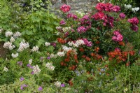 Parterre de juin avec géraniums, alstroemerias et roses.