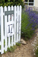 Porte ouverte sur le jardin et la lavande le long du chemin de gravier accueillant les visiteurs à l'intérieur le jour des jardins ouverts, Easton, Suffolk