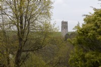 Une vue au-dessus des arbres avec divers degrés de feuillage printanier émergent vers un clocher d'église. Jardins de Marwood Hill. Printemps. Peut.