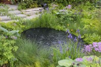Une piscine noire est bordée de graminées, Iris setosa var. arctica, thalictrum, primevères candélabres, hostas et fougères.