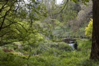 Un pont en pierre en dos d'âne avec une cascade émergeant de dessous au bout d'un lac dans un jardin boisé avec des arbres et des arbustes et divers degrés de feuillage printanier émergeant. Jardins de Marwood Hill. Dévon. Printemps. Peut.