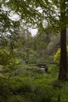 Un pont en pierre en dos d'âne avec une cascade émergeant de dessous au bout d'un lac dans un jardin boisé avec divers arbres et arbustes avec divers degrés de feuillage printanier émergeant. Jardins de Marwood Hill. Dévon. Printemps. Peut.
