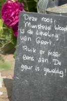 Tableau écrit à la main en néerlandais mentionnant la rose préférée du propriétaire Munstead Wood rose. L'odeur est super !