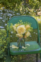 Roses jaune chamois avec Alchemilla mollis dans un bocal en verre sur une chaise en métal vert