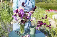 Femme arrangeant un bouquet de fleurs contenant Lathyrus 'Beaujolais' et 'High Scent', Centaurea 'Black Ball', Lunaria annua - Honesty et Gypsophila elegans 'Covent Garden'