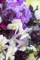 Bouquet de fleurs à base de Lathyrus 'Beaujolais' et 'High Scent', Centaurea 'Black Ball', Lunaria annua - Honesty et Gypsophila elegans 'Covent Garden'