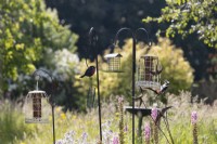 Une sélection de mangeoires d'oiseaux au milieu d'un parterre de fleurs mixtes dans un jardin informel de style cottage. Un pic épeiche se nourrit de l'une des mangeoires à oiseaux. Été. Juin.