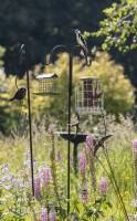 Une sélection de mangeoires d'oiseaux au milieu d'un parterre de fleurs mixtes dans un jardin informel de style cottage. Un grand pic épeiche se trouve au sommet d'un stand d'alimentation. Été. Juin.