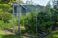 Grande cage à fruits contenant des fraisiers, de la rhubarbe et un assortiment d'arbustes fruitiers - Journée jardins ouverts, Wingfield, Suffolk