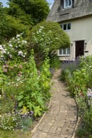 Chemin de brique au cottage au toit de chaume à travers des parterres de diverses plantes vivaces, roses et arbustes - Jour du festival des jardins, Fressingfield, Suffolk