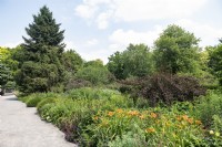 Dortmund Rhénanie-du-Nord-Westphalie - Nordrhein-Westfalen NRWAllemagneRombergpark Englischen Staudenbeet. Parterres herbacés aux couleurs estivales sous un ciel bleu. Hémérocalles oranges.