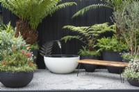Une cour inspirée de la Nouvelle-Zélande, avec un siège en bois de kauri récupéré et des pots faits à la main remplis de plantes indigènes et de fougères arborescentes. Une pièce d'eau sur mesure est alimentée par une fougère argentée, symbole national de la Nouvelle-Zélande.