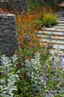 Parterre de plantes vivaces avec fonction structurelle de murs en pierres sèches et chemin de blocs de pierre à côté - Chelsea Flower Show