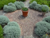 Jardin d'herbes aromatiques formel avec maçonnerie circulaire juillet été
