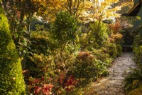 Chemin à travers le jardin des quatre saisons - West Midlands - Octobre