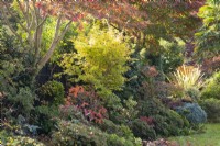 Parterres de fleurs dans le jardin des quatre saisons - West Midlands - octobre