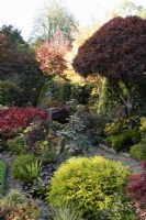 Parterres de fleurs dans le jardin des quatre saisons - West Midlands - Octobre