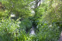 Giverny, France - Jardin de Monet - Le Ruisseau - Mai 2023