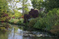 Giverny, France - Jardin de Monet - Le Bassin aux Nymphéas - Mai 2023
