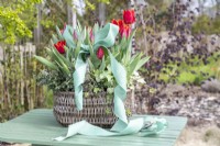 Panier en osier planté de tulipes, de lierre et d'arbuste à feuilles persistantes