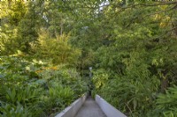 Vue d'un jardin exotique design contemporain formel en été - juillet
