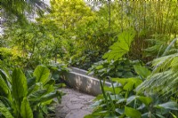 Symplocarpus foetidus Hostas Gunnera manicata dans un jardin exotique design contemporain informel en été - juillet