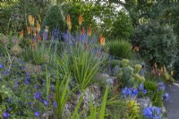 Kniphofia 'Tawny King' et Salvia 'Blue Spire' fleurissent avec d'autres perennilas sur une rocaille sèche en terrasse en été - juillet