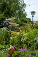 Plantation dense de roses, de diverses plantes vivaces et d'arbustes dans un jardin de campagne - Journée des jardins ouverts, Stowupland, Suffolk