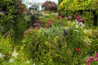 Chemin étroit à travers une plantation dense de roses, de diverses plantes vivaces et d'arbustes dans un jardin de campagne - Journée des jardins ouverts, Stowupland, Suffolk