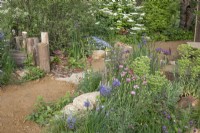 Plantes vivaces et annuelles dans The Wildlife Trusts: Wilder Spaces garden au RHS Malvern Spring Festival 2023