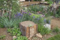 The Wildlife Trusts: Wilder Spaces garden au RHS Malvern Spring Festival 2023