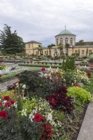 Hanovre Allemagne Jardins royaux de Herrenhausen. BerggartenParterres de fleurs comprenant des dahlias et des crucifères.