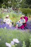 Femmes assises sur des chaises bavardant dans le jardin