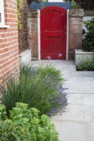 Petit parterre sec par mur de maison, plantes inc : Tulbaghia violacea, Potentilla ; Lavandula avec porte de jardin rouge en arrière-plan