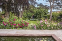 Vue sur terrasse en grès avec piscine et parterre de fleurs avec David Austin roses, Ballota et lavande à pelouse et jardin blanc