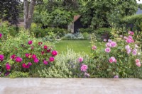 Terrasse parterre de roses David Austin avec Ballotta et lavande et vue sur la pelouse et le jardin blanc